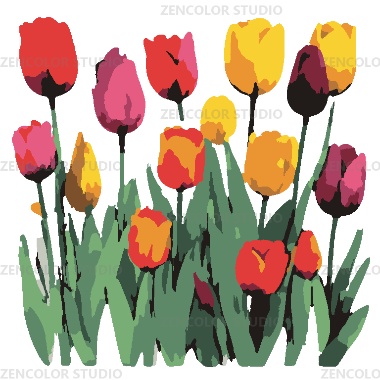 Le champ de tulipes aux mille couleurs