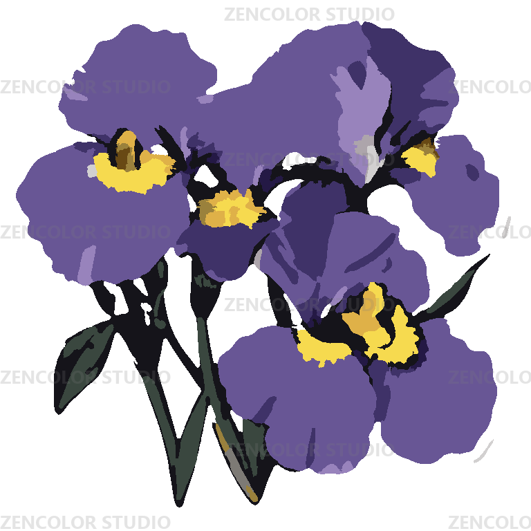 Trois iris violets au cœur doré