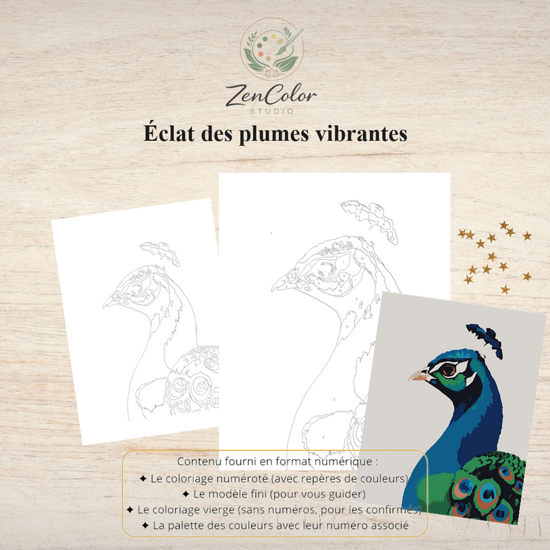 Plumes de paon – Coloriage numéroté à imprimer PDF