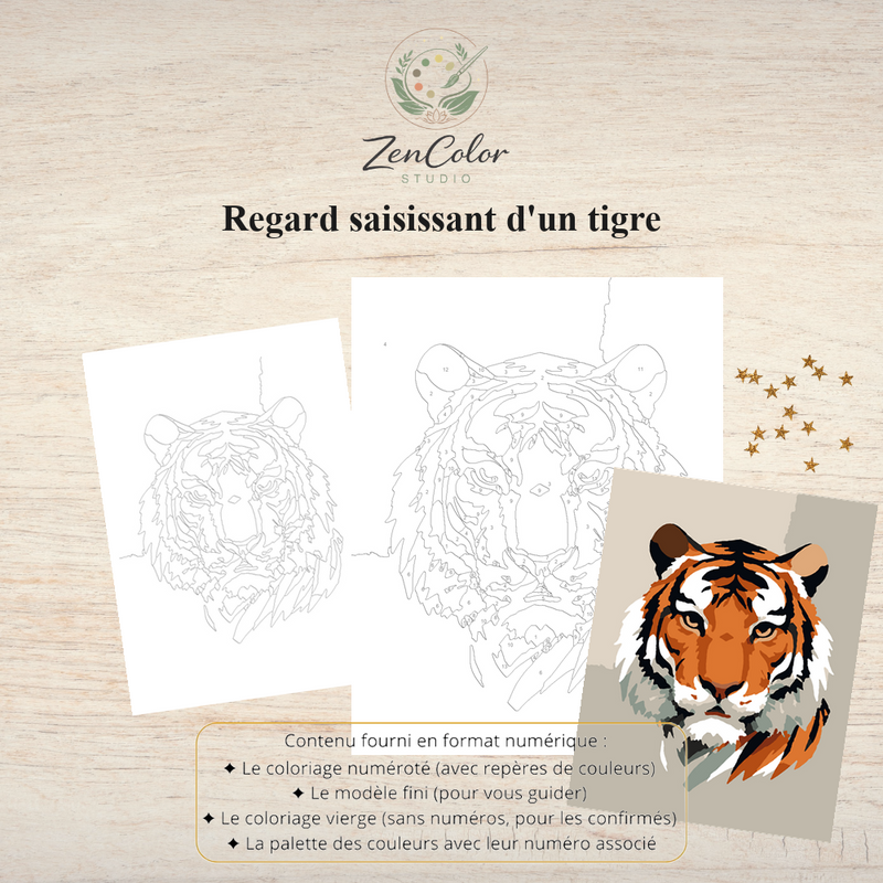 Tigre regard féroce – Coloriage numéroté à imprimer PDF