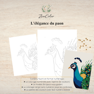 Paon et ses plumes – Coloriage numéroté à imprimer PDF
