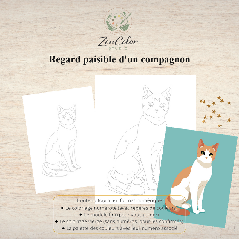 Chat paisible – Coloriage numéroté à imprimer PDF