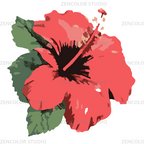 L'hibiscus corail en pleine éclosion