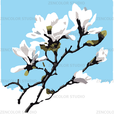 Les magnolias de printemps sur fond de ciel