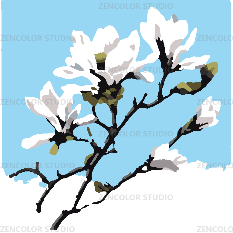 Les magnolias de printemps sur fond de ciel