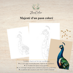 Paon coloré – Coloriage numéroté à imprimer PDF