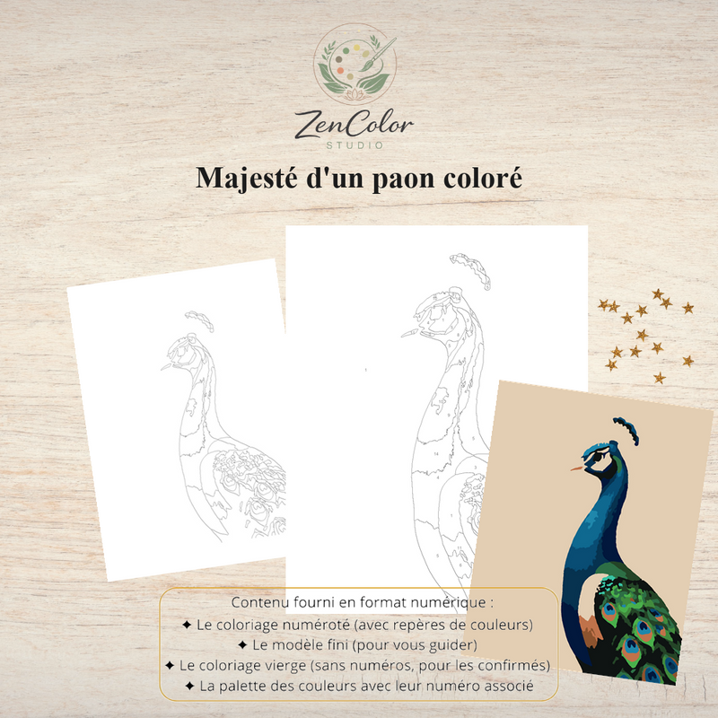 Paon coloré – Coloriage numéroté à imprimer PDF