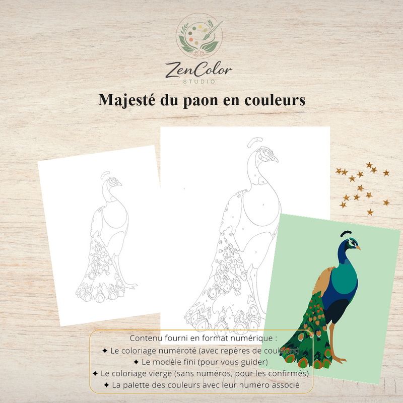 Paon élégant – Coloriage numéroté à imprimer PDF