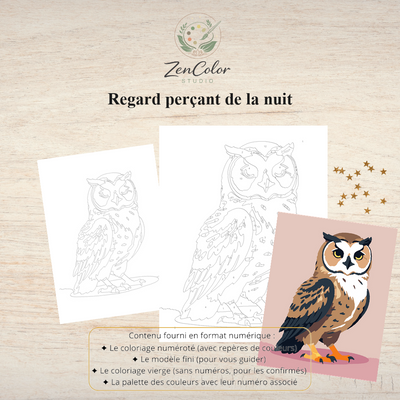 Hibou nocturne – Coloriage numéroté à imprimer PDF