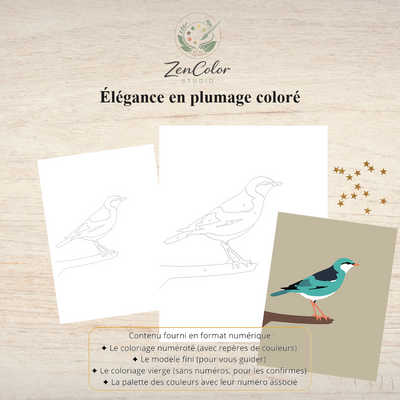 Oiseau au plumage coloré – Coloriage numéroté à imprimer PDF