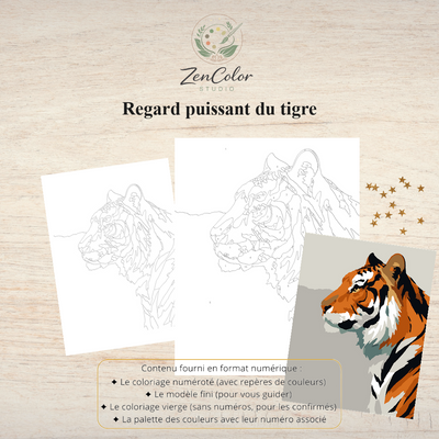 Tigre puissant – Coloriage numéroté à imprimer PDF