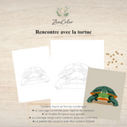 Tortue marine – Coloriage numéroté à imprimer PDF