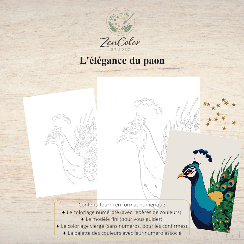 Paon et ses plumes – Coloriage numéroté à imprimer PDF