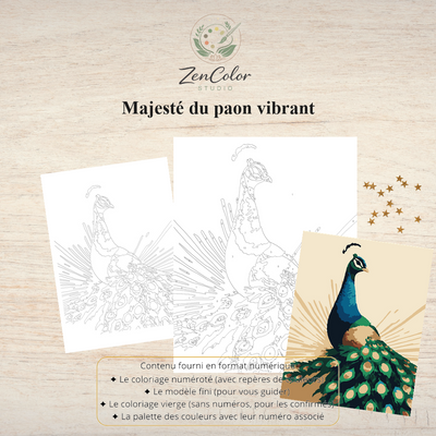 Paon vibrant – Coloriage numéroté à imprimer PDF