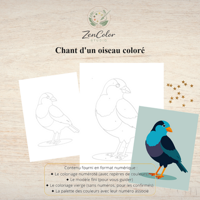 Oiseau coloré en chant – Coloriage numéroté à imprimer PDF