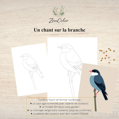 Oiseau sur sa branche – Coloriage numéroté à imprimer PDF