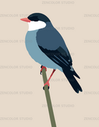 Oiseau sur sa branche – Coloriage numéroté à imprimer PDF