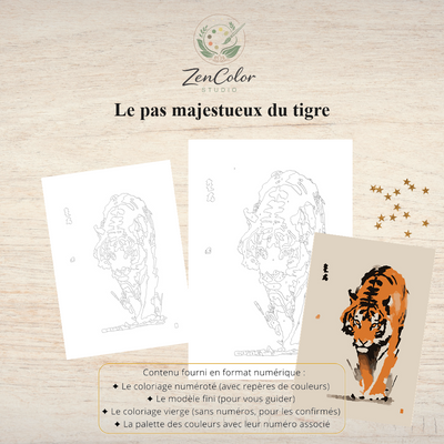 Tigre en mouvement – Coloriage numéroté à imprimer PDF